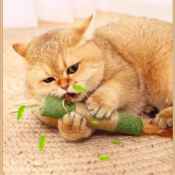 Palito verde de catnip con sisal