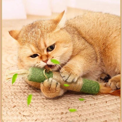 Palito verde de catnip con sisal