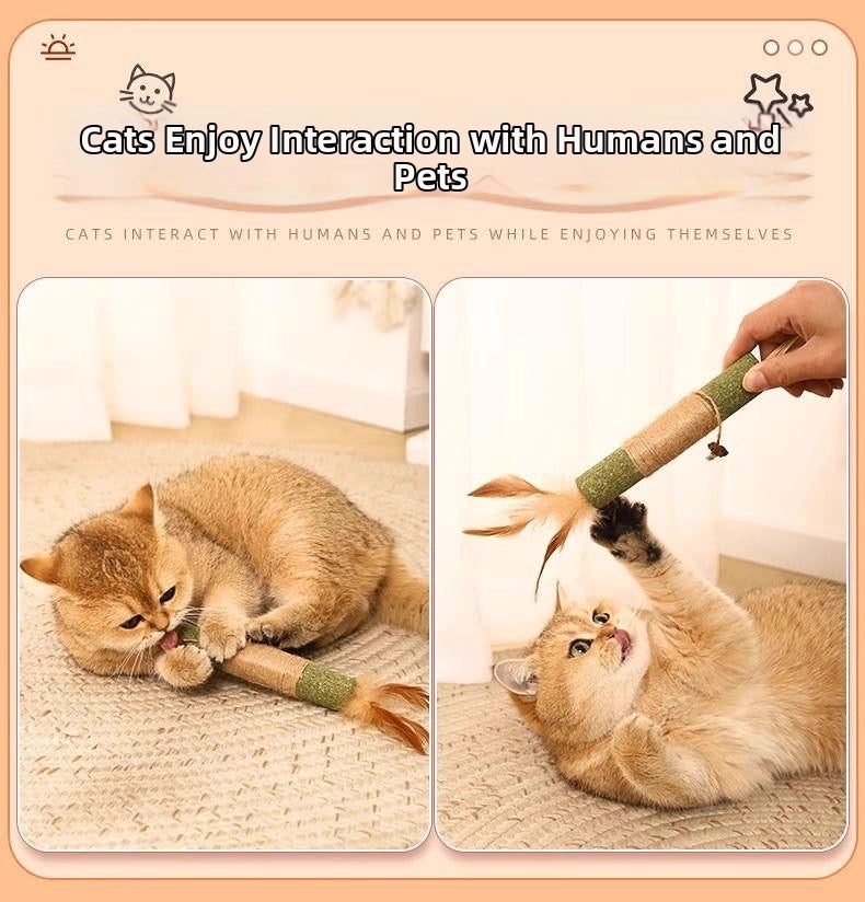 Palito verde de catnip con sisal