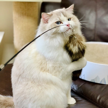 Cañita para gatos cola de mapache