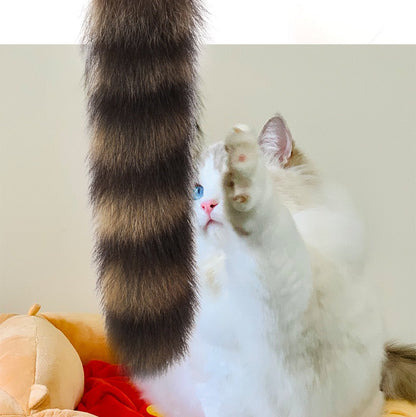 Cañita para gatos cola de mapache