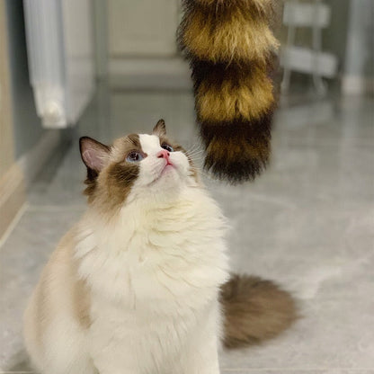 Cañita para gatos cola de mapache