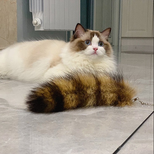 Cañita para gatos cola de mapache