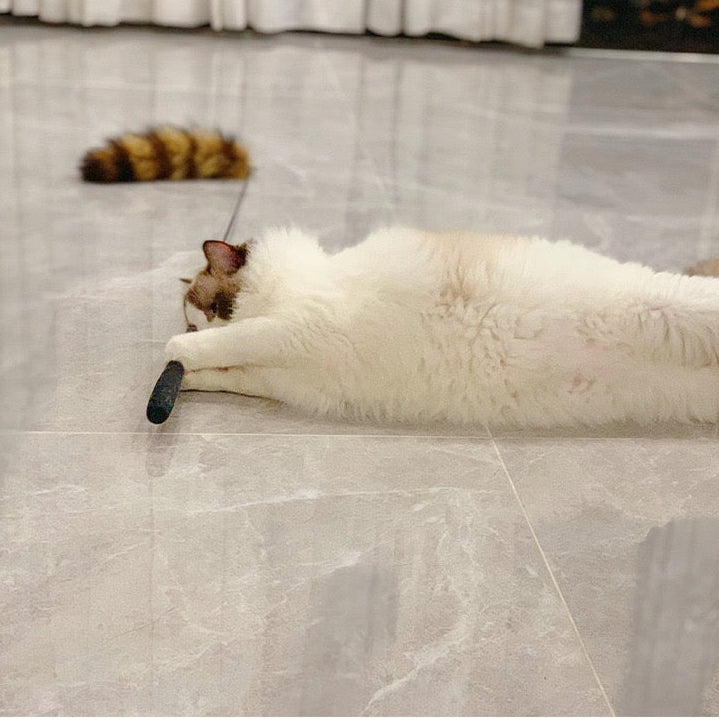 Cañita para gatos cola de mapache