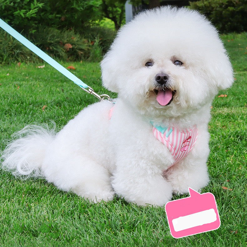 Pechera raza pequeña manzana rosada HAR012