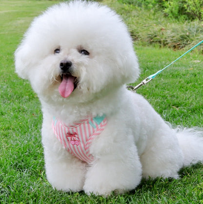 Pechera raza pequeña manzana rosada HAR012