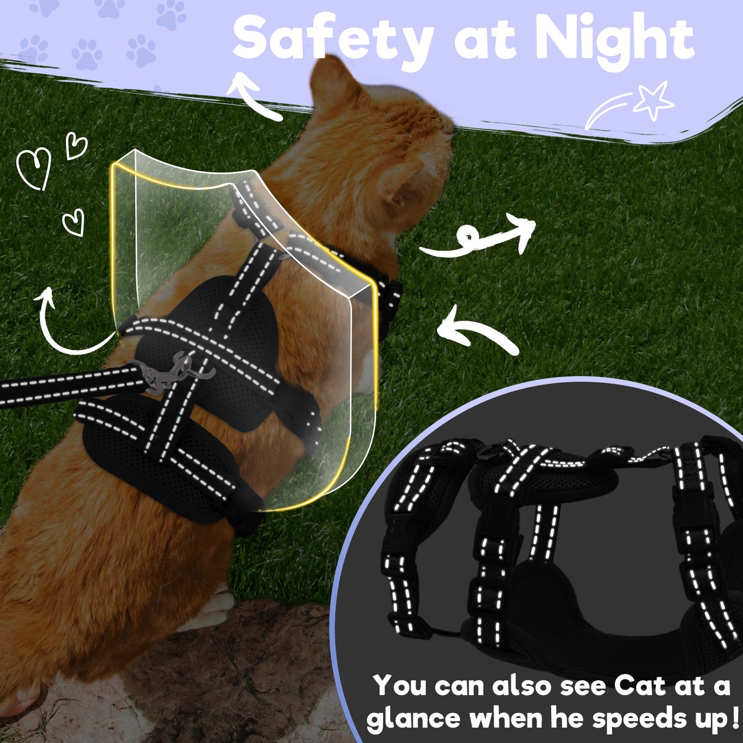 Pechera para gato sencilla HAR09