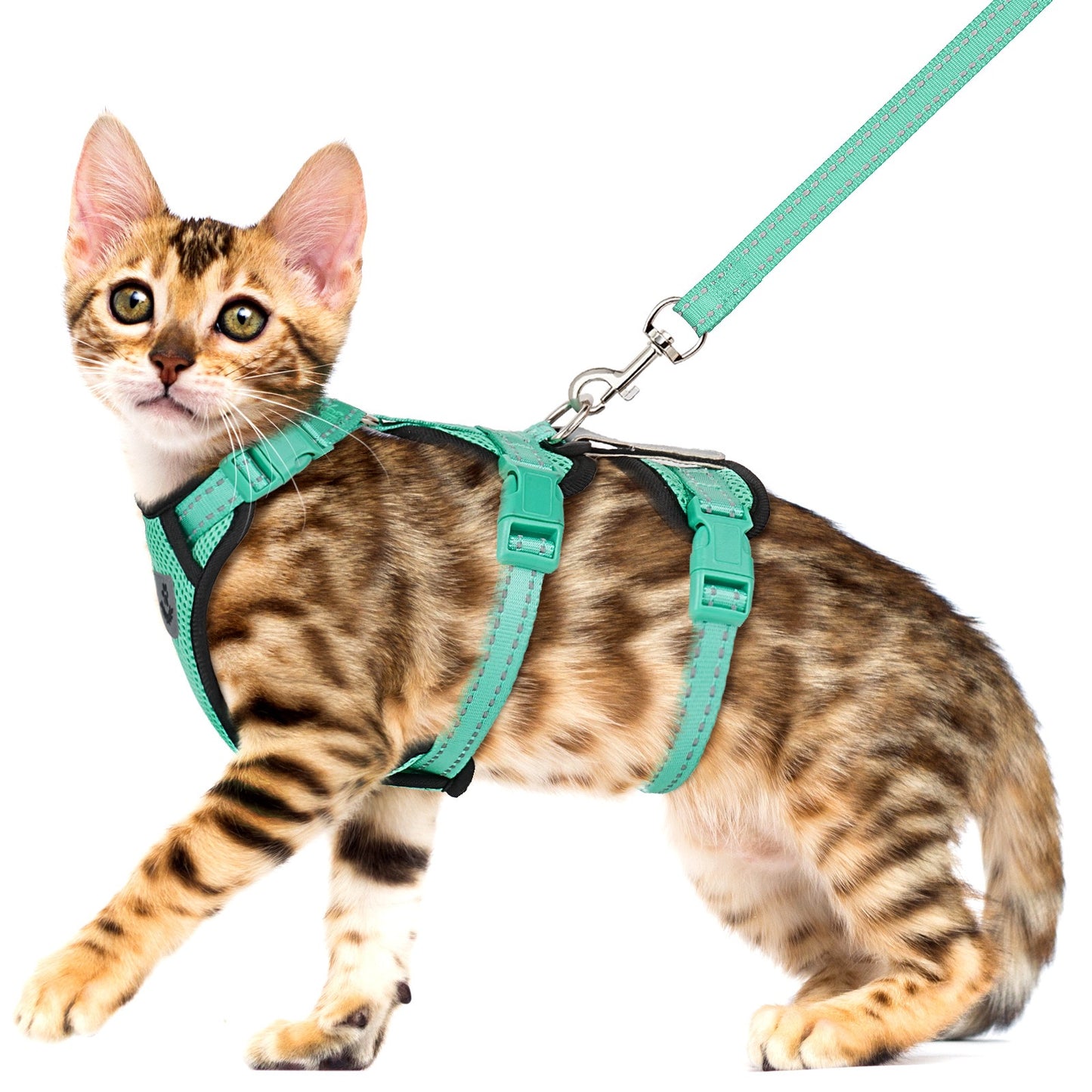 Pechera para gato sencilla HAR09