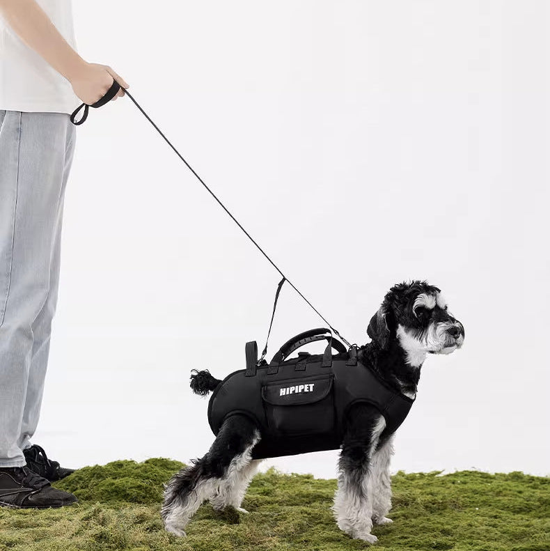 Cargador para mascotas pequeñas Hipipet