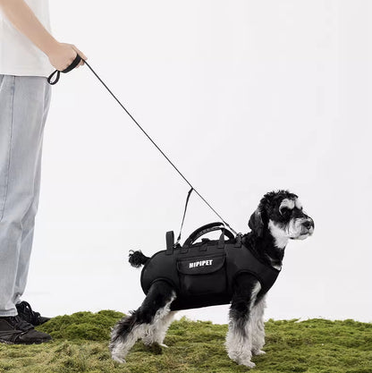 Cargador para mascotas pequeñas Hipipet