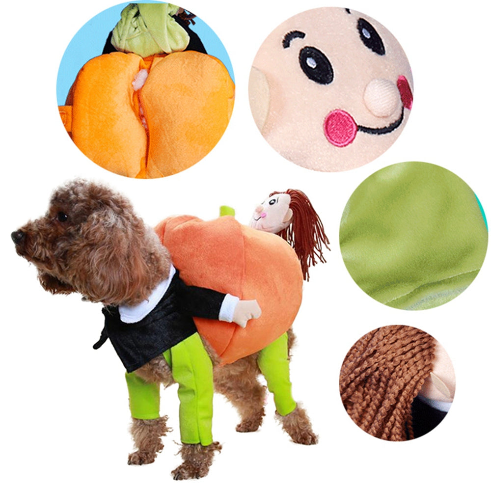 Disfraz halloween calabaza para mascotas