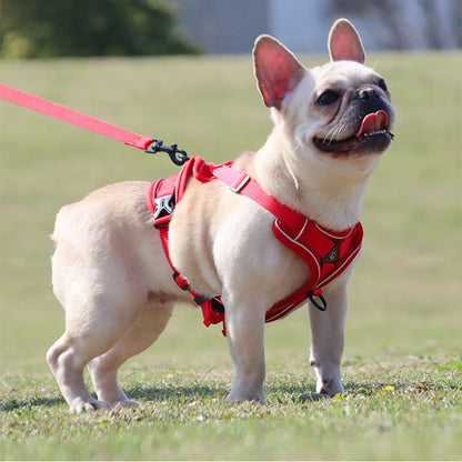 Pechera ajustable para perros pequeños de malla reflectante