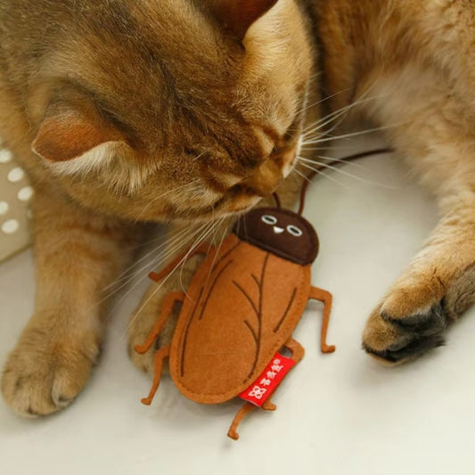 Peluche relleno de catnip con forma de insectos