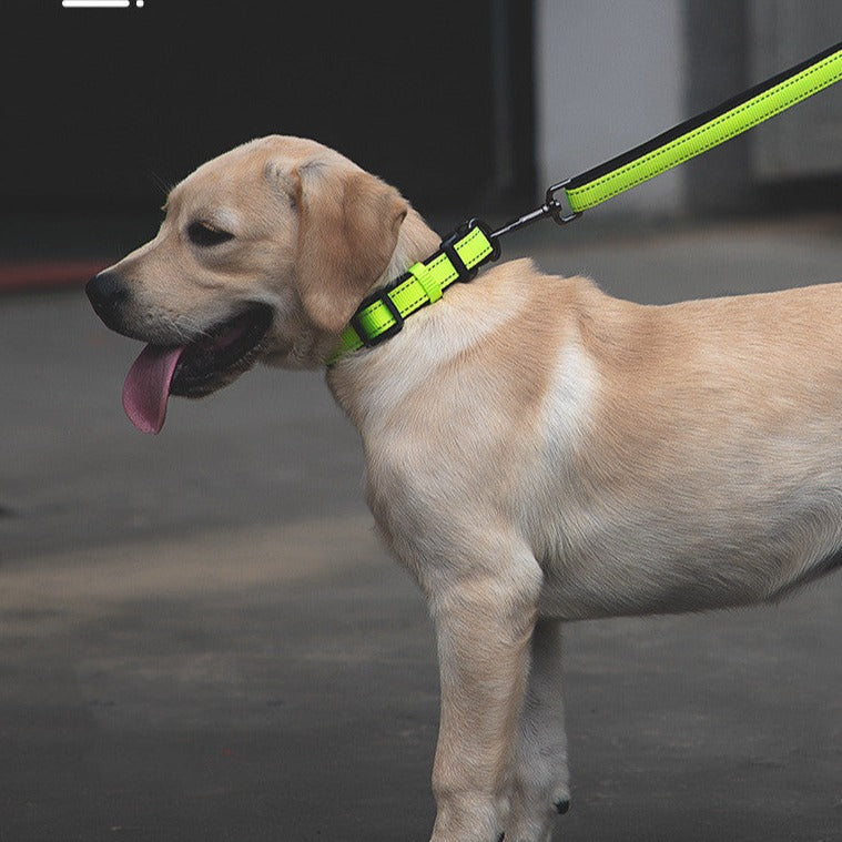 Correa reflectante para perro suave de neopreno