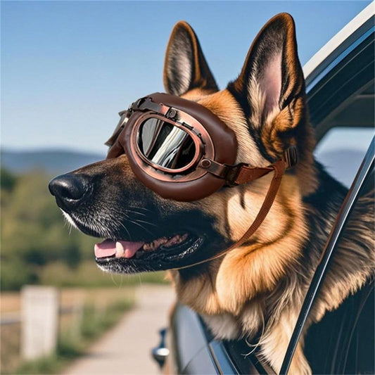 Lentes perros retro con diseño antiguo relleno cuero suave