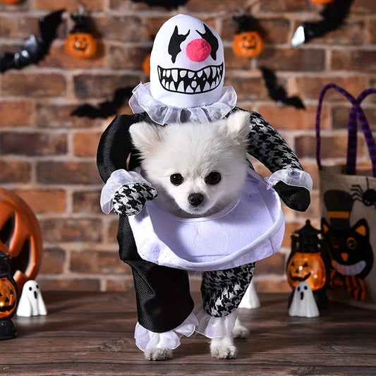Disfraz Halloween de payaso para mascotas