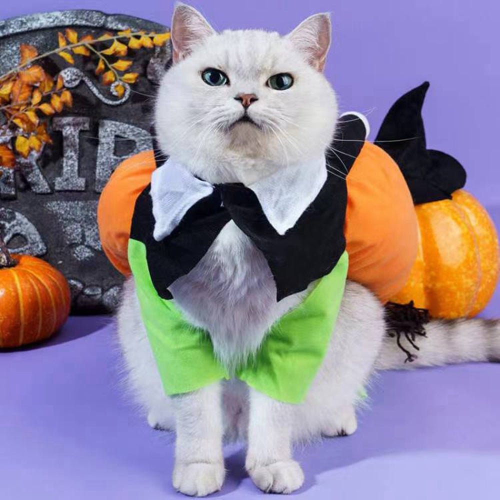 Disfraz halloween calabaza para mascotas