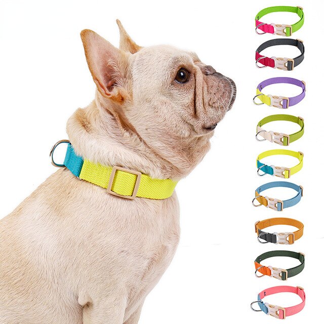 Collar Antiescape para perros