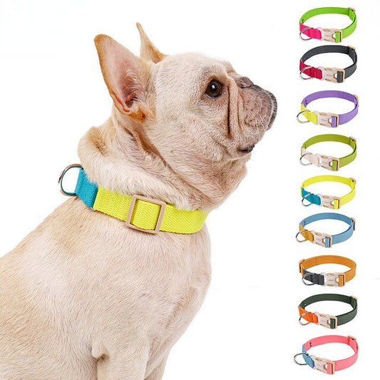 Collar Antiescape para perros