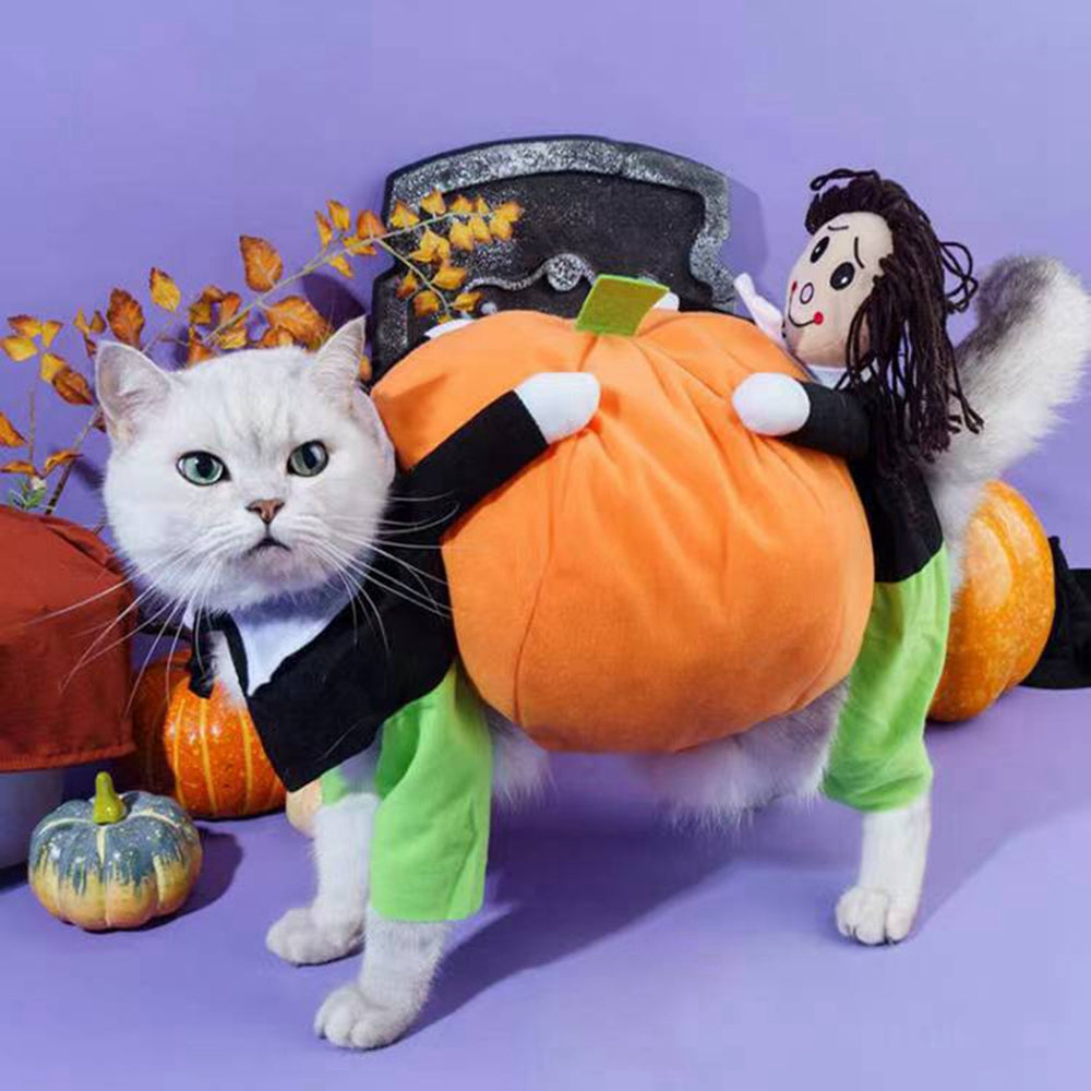Disfraz halloween calabaza para mascotas