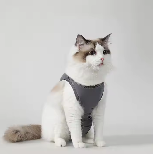 Traje postoperatorio #T06 para gatos gris