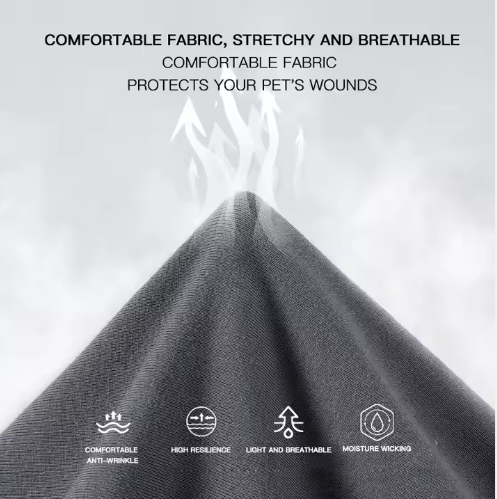 Traje postoperatorio #T06 para gatos gris