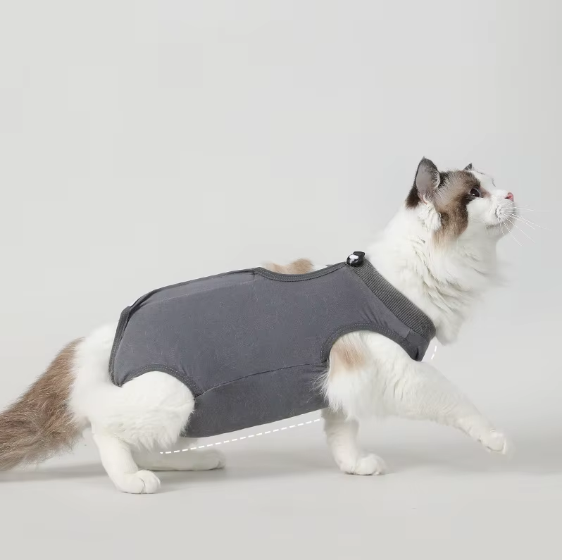 Traje postoperatorio #T06 para gatos gris