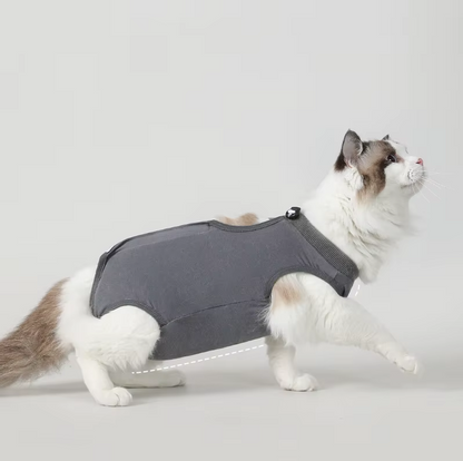 Traje postoperatorio #T06 para gatos gris
