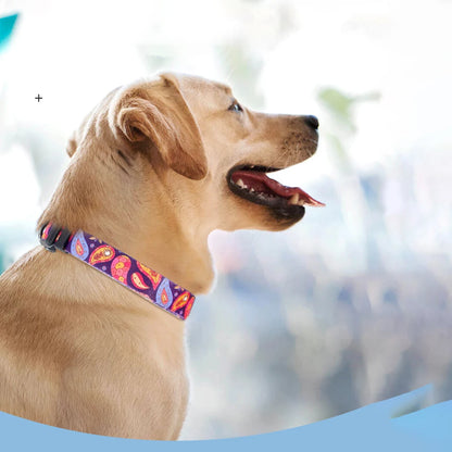 Collar estampado para perros medianos y grandes