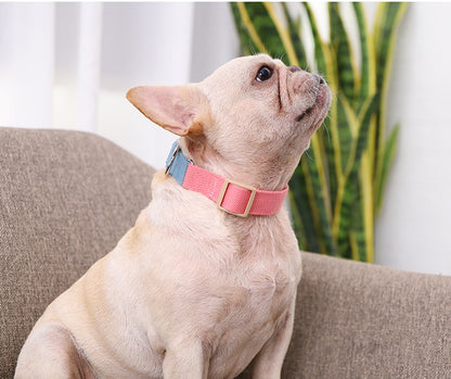 Collar Antiescape para perros