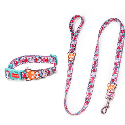 Collar de nailon colorido para perros pequeños y medianos