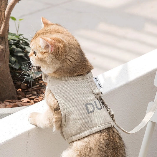 Conjunto de arnés y correa para gato con cierre de velcro