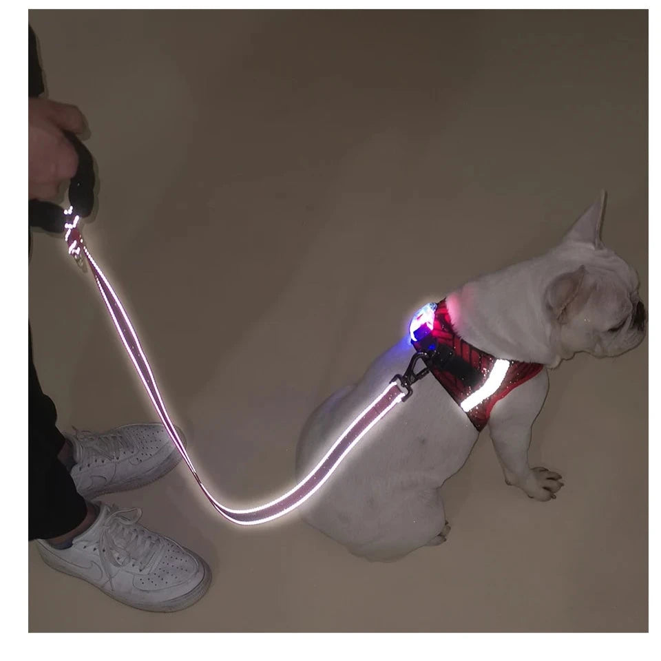 Arnés reflector para mascotas con luz LED