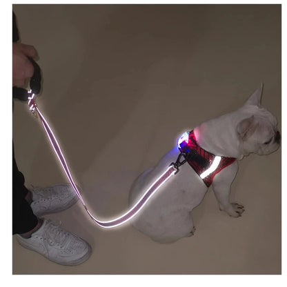 Arnés reflector para mascotas con luz LED