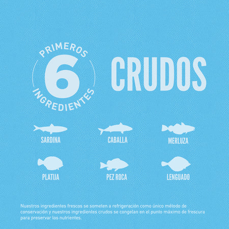 Comida para Perro Orijen: Six Fish 2kg