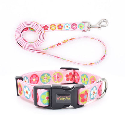 Collar con correa para perros