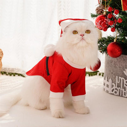 Camiseta con capucha con estampado de Papá Noel para mascotas pequeñas