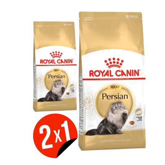 Comida para Gato Royal Canin: Persian, Adulto 2kg