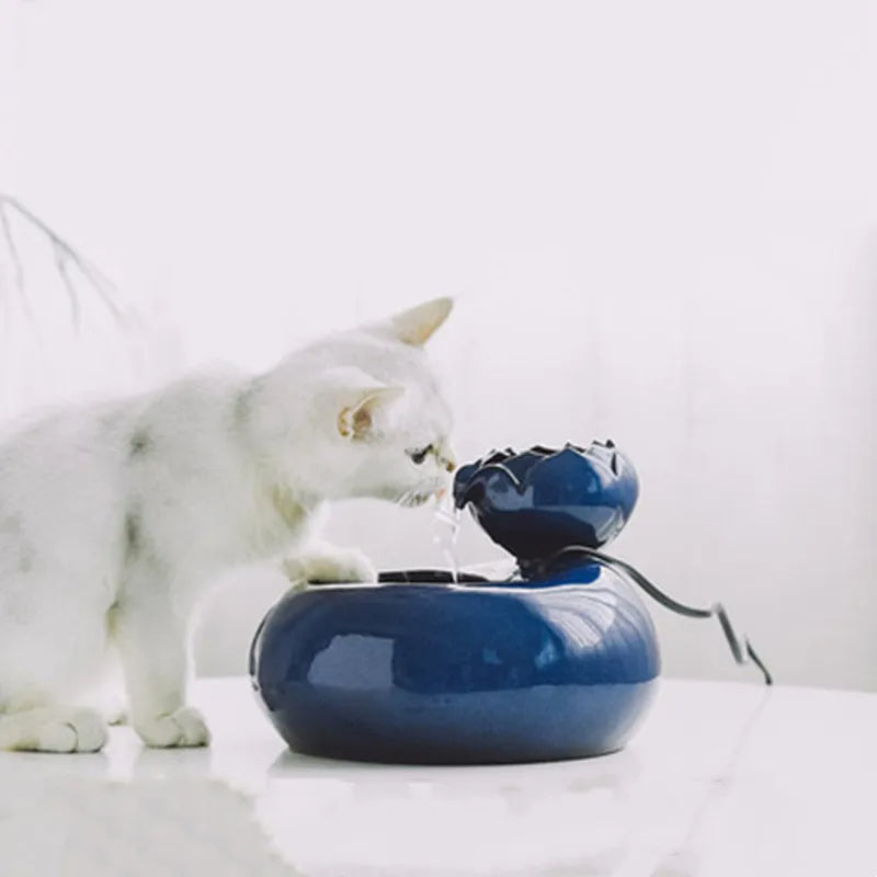 Fuente de agua de cerámica para mascotas