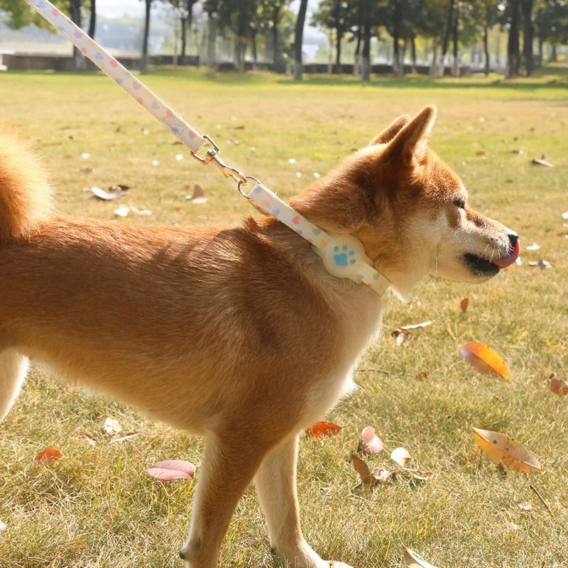 Collar de Airtag para mascotas