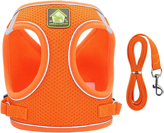 Pechera para gatos reflectante con tela transpirable