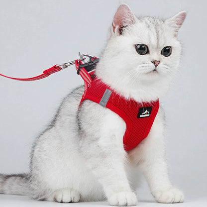 Pechera raza pequeña transpirable negra/naranja HAR06