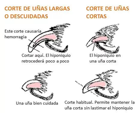 Cortaúñas y lima para mascotas