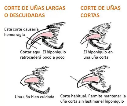 Cortaúñas y lima para mascotas