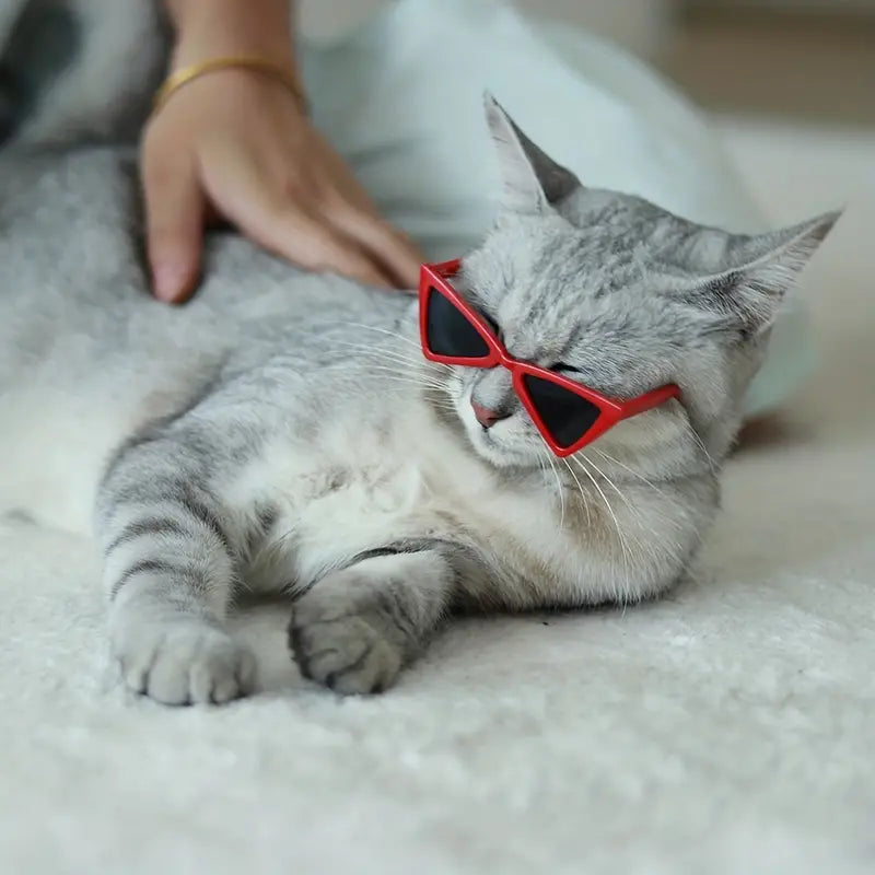 Gafas de sol triangulares para gatos