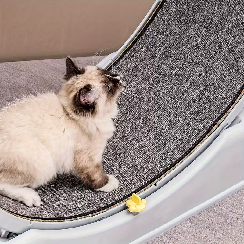 Rueda rascador para gato
