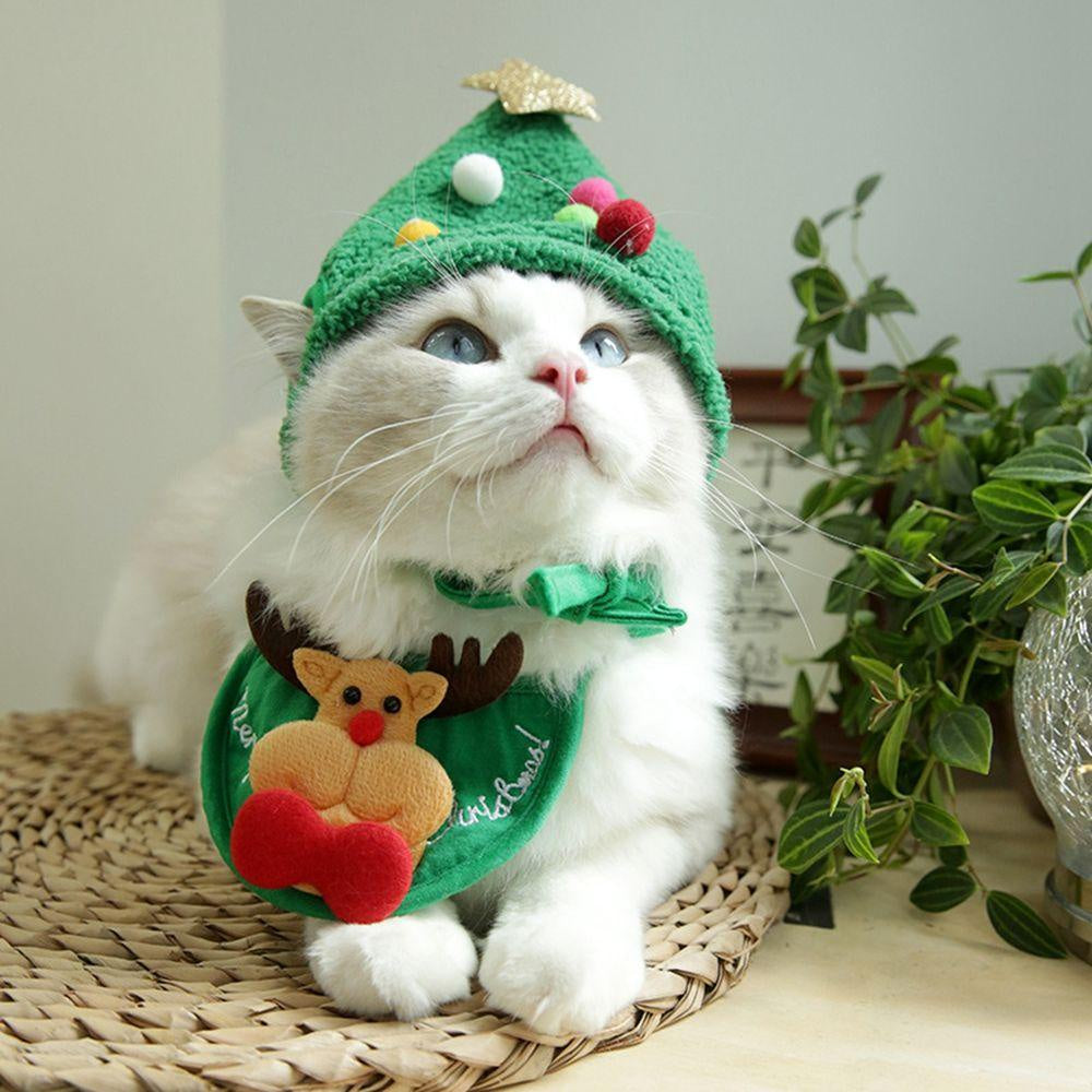 Gorro y Bufanda para Perros pequeños navideños