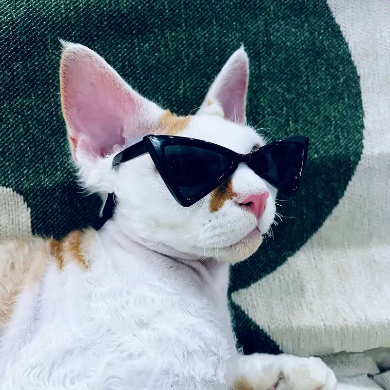 Gafas de sol triangulares para gatos