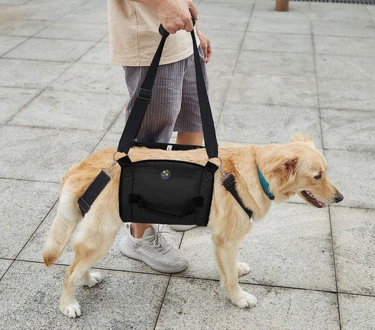 Arnés de soporte para perros de raza grande