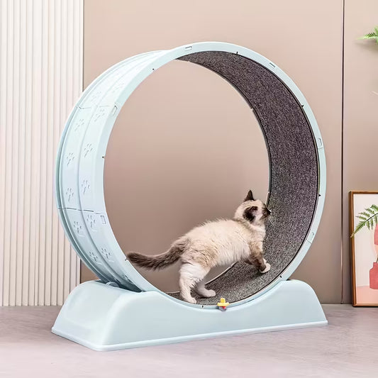 Rueda rascador para gato